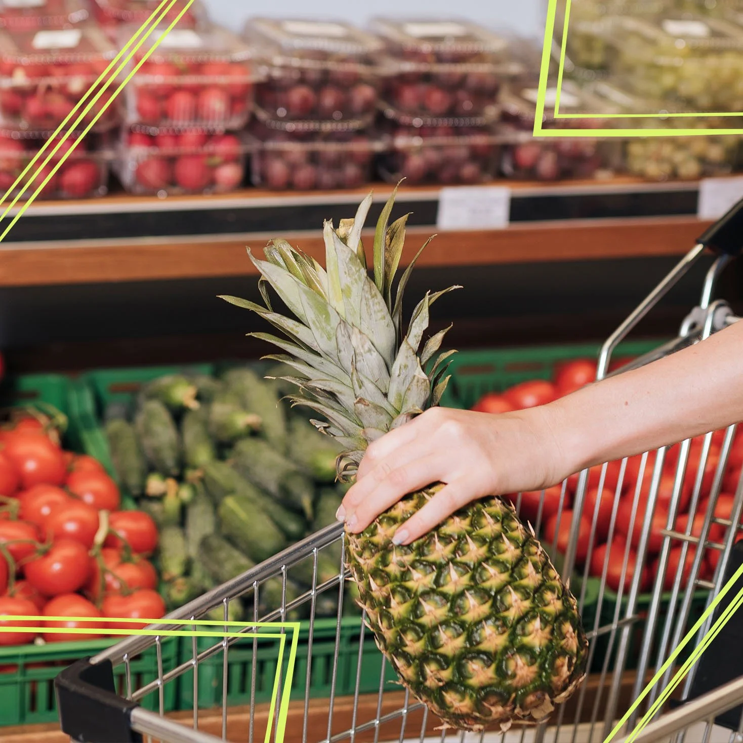 From Food Security to Food Resilience: Why the UK Needs a Strategic Approach to Horticulture