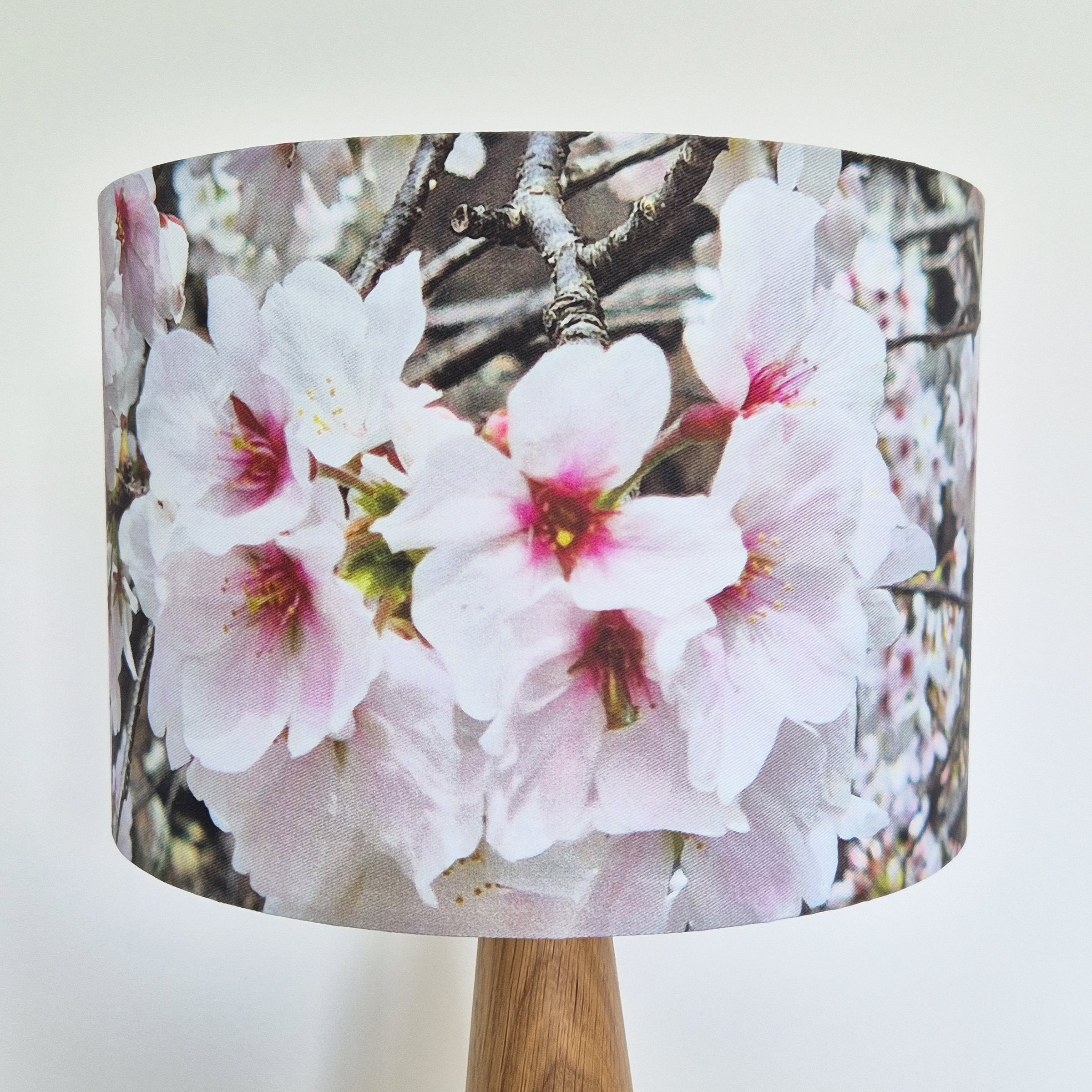 Japanese Cherry Blossom, Kochi, Lampshade Close-Up