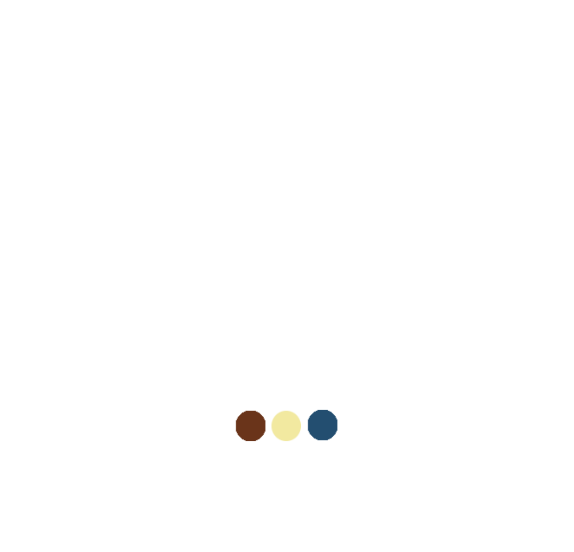 MAE Heritage Consultancy