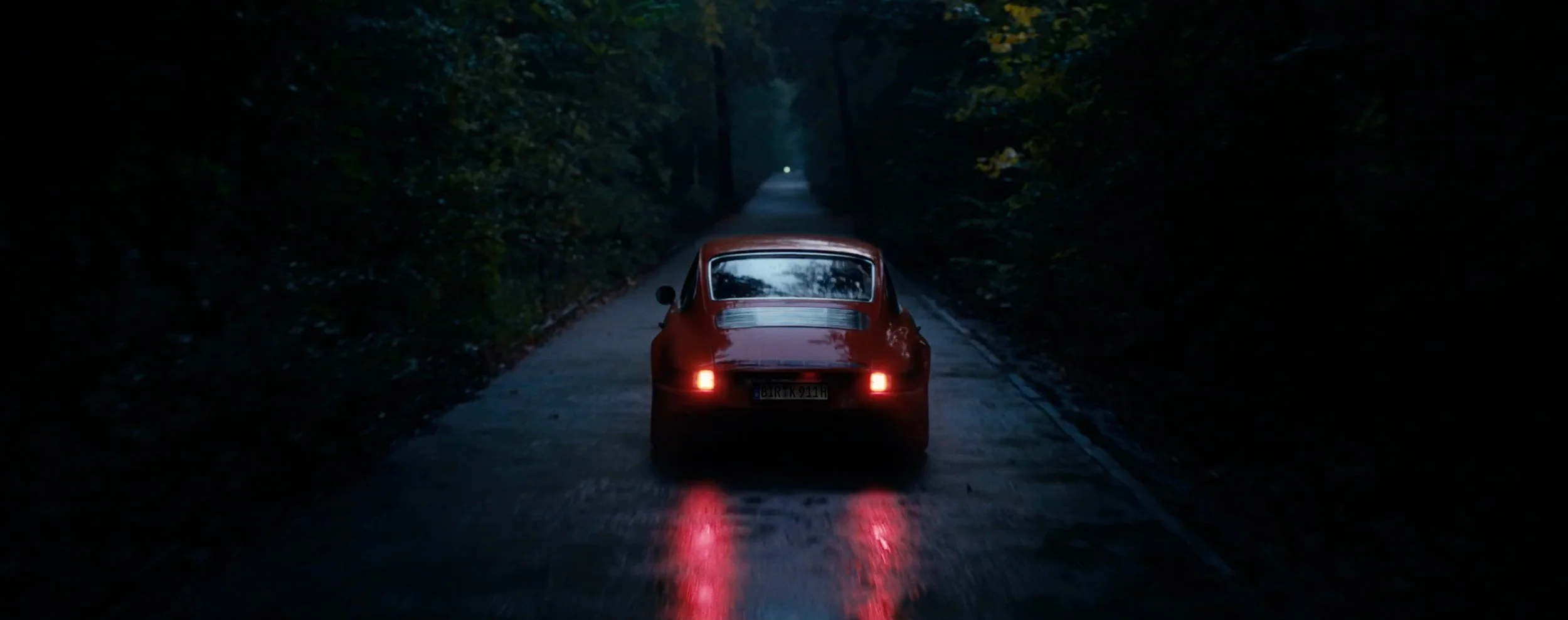 Porsche Fall back.jpg