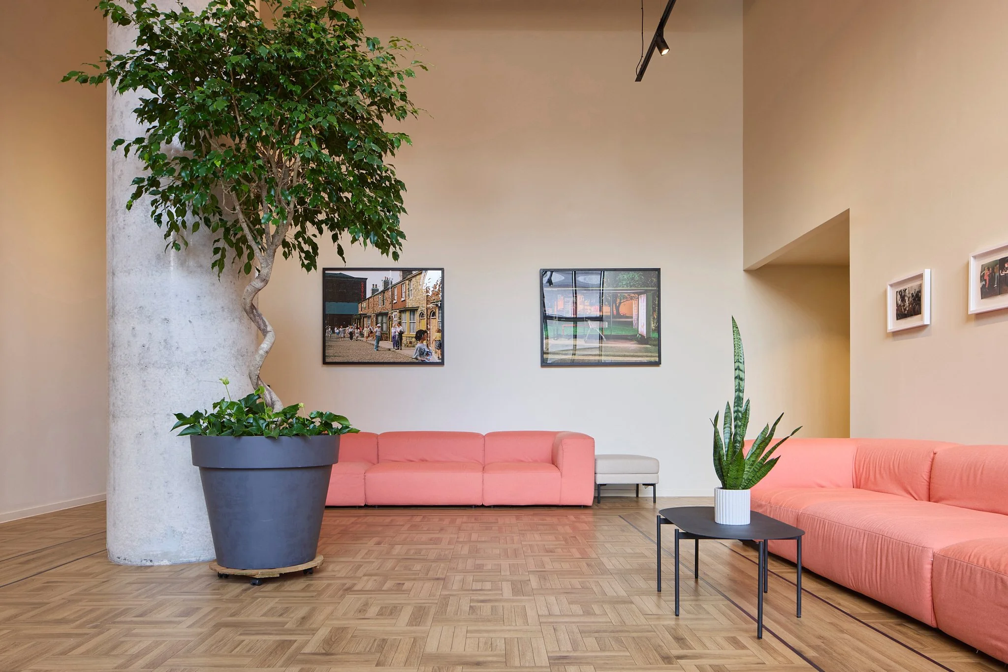 Interior Photography Modern waiting area with pink sofas, potted trees, framed artwork, and wooden flooring.