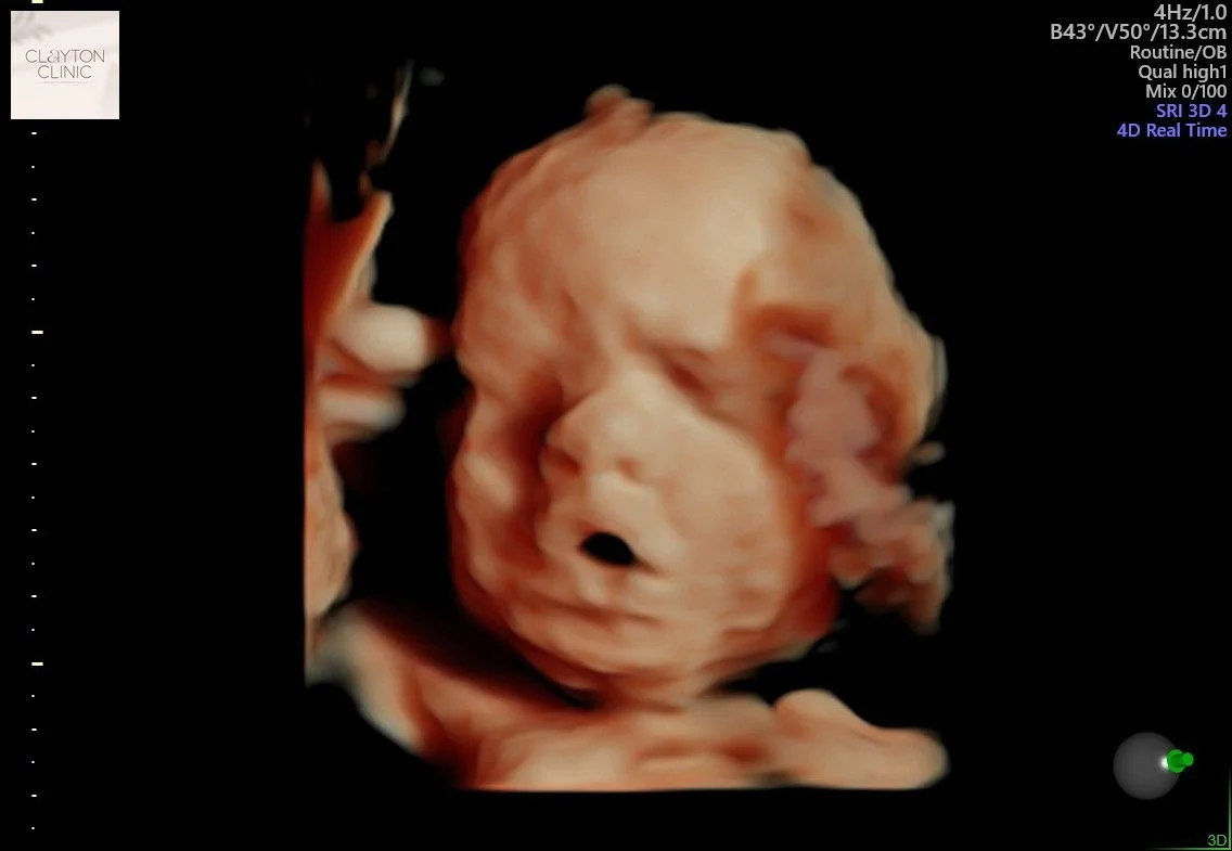 WhatsApp Image 2023-05-27 at 14.57.40.jpg