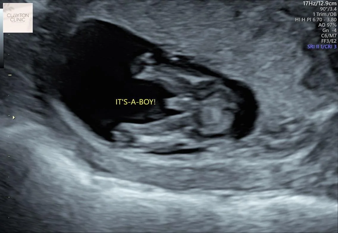 WhatsApp Image 2023-06-02 at 08.03.16.jpg