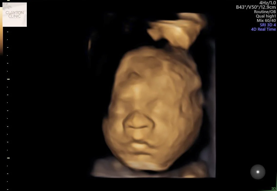 WhatsApp Image 2023-05-31 at 18.33.51.jpg