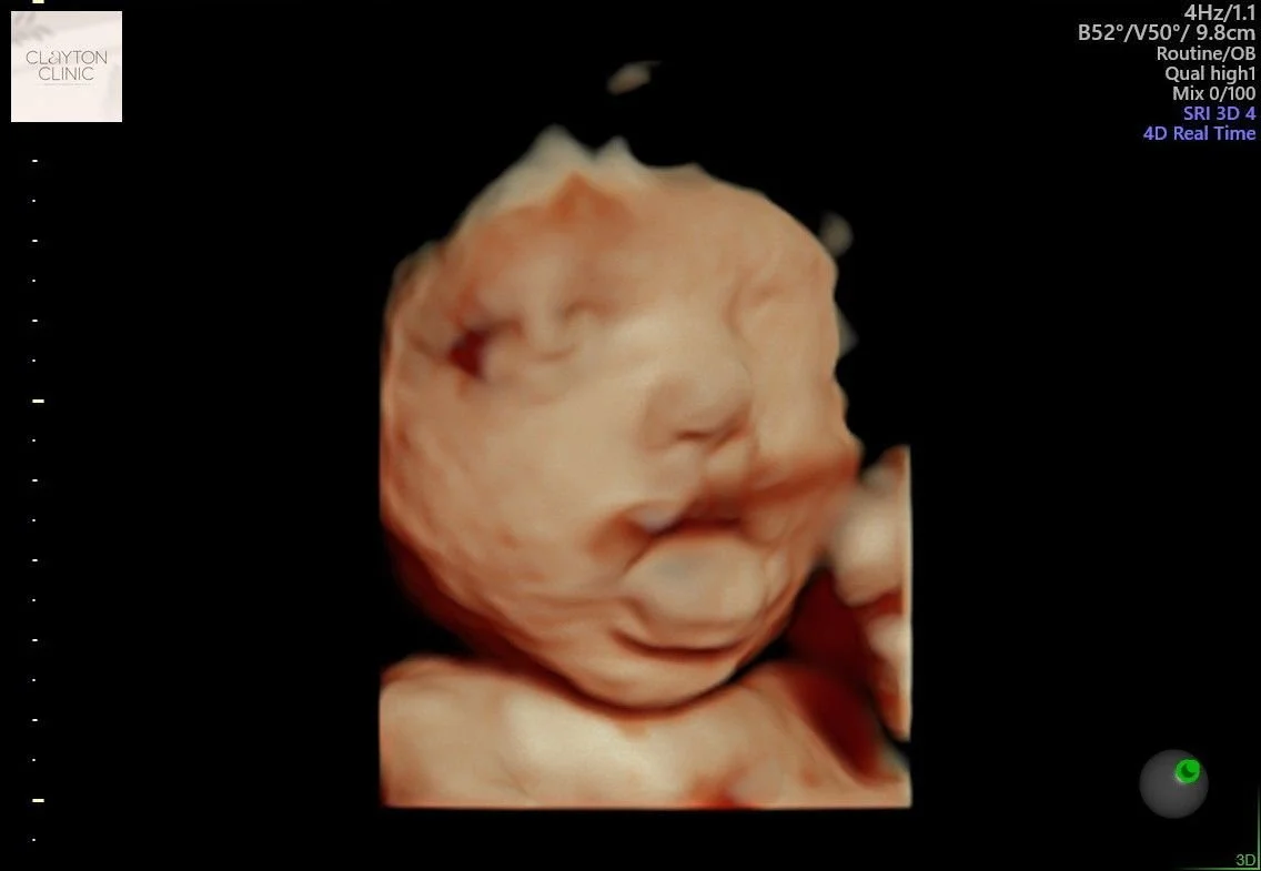 WhatsApp Image 2023-05-25 at 16.30.16.jpg