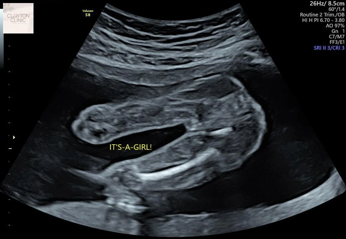 WhatsApp Image 2023-05-31 at 18.08.56.jpg