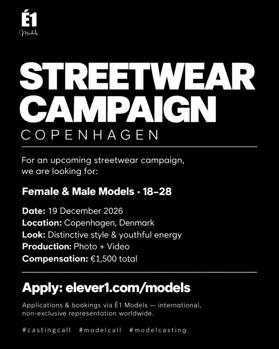 Streetwear Casting, Copenhagen w: É1 Models.png