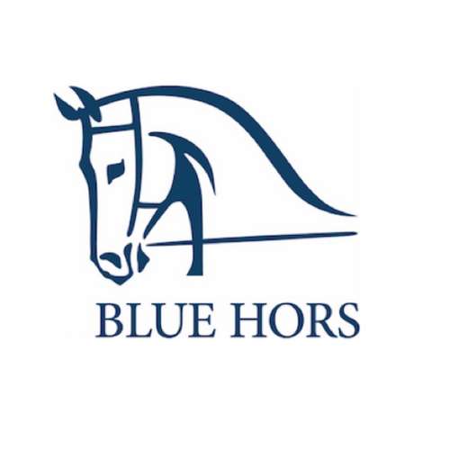 BlueHors_logo.png