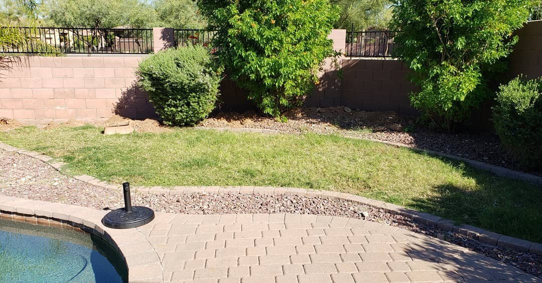 Turf install in North Phoenix ⛳