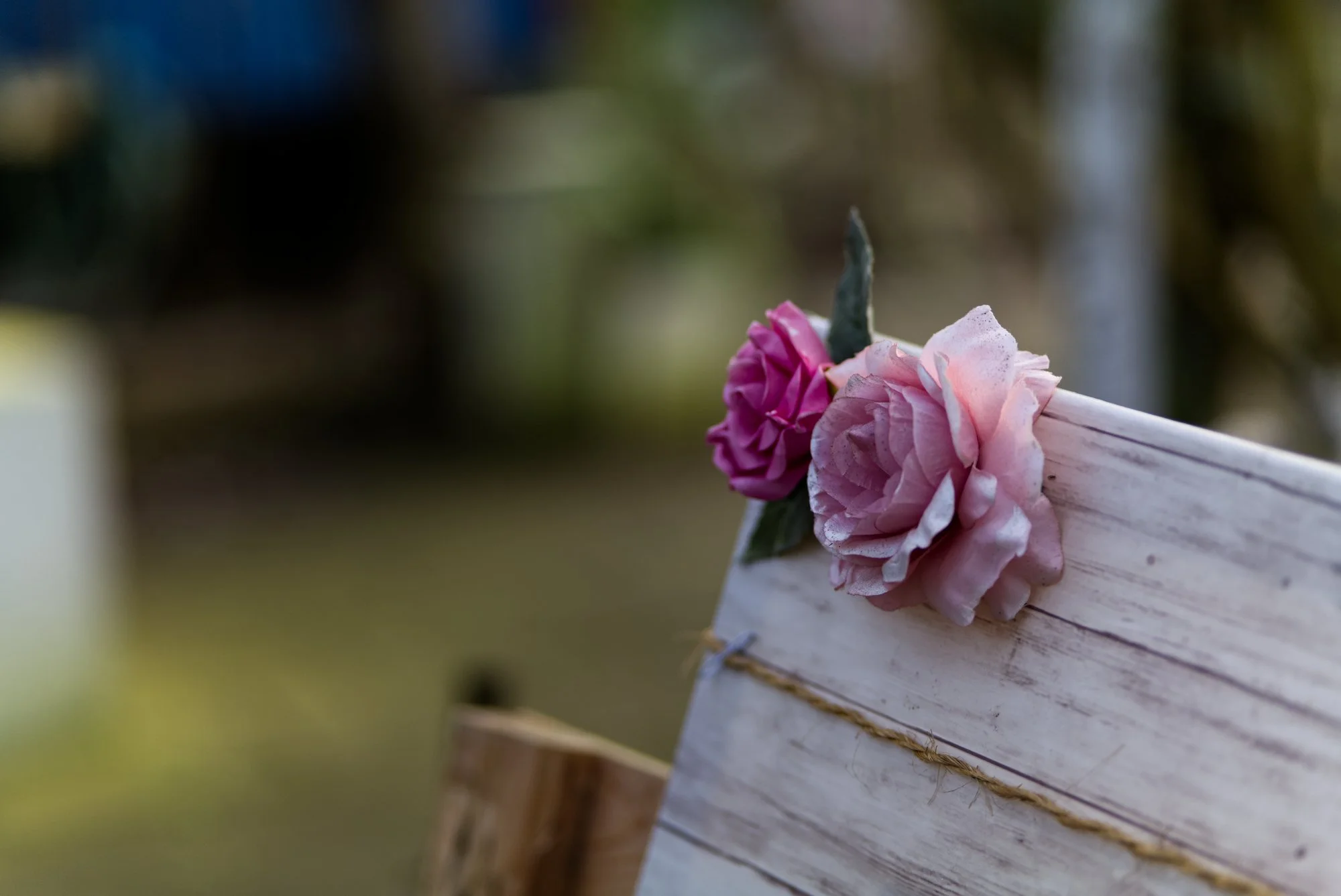 roses.jpg