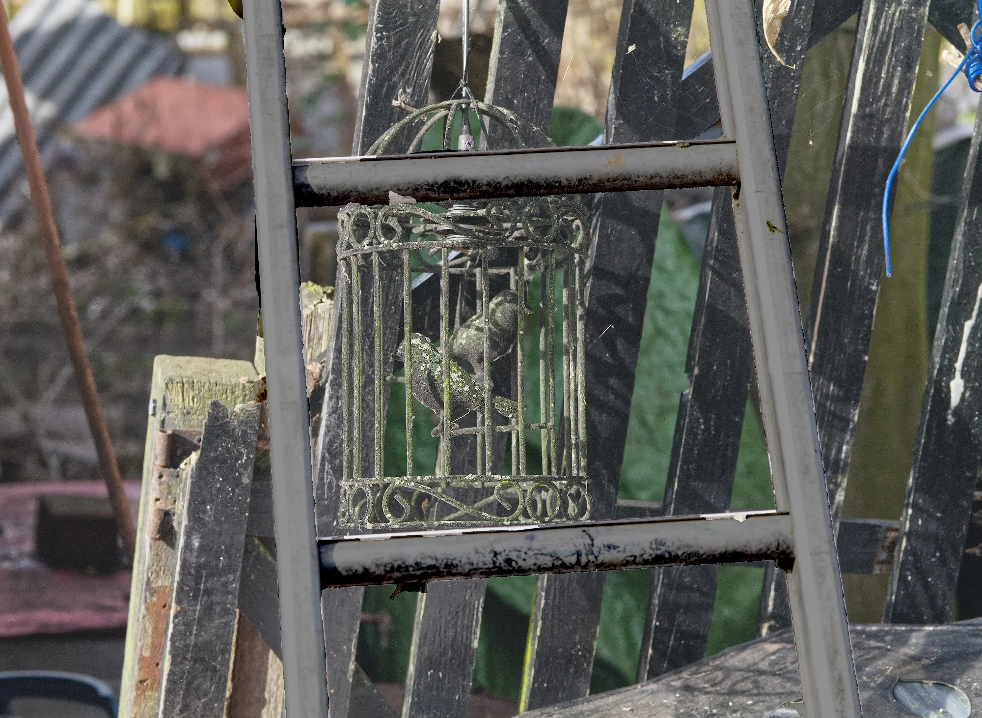 ladderandcage.jpg