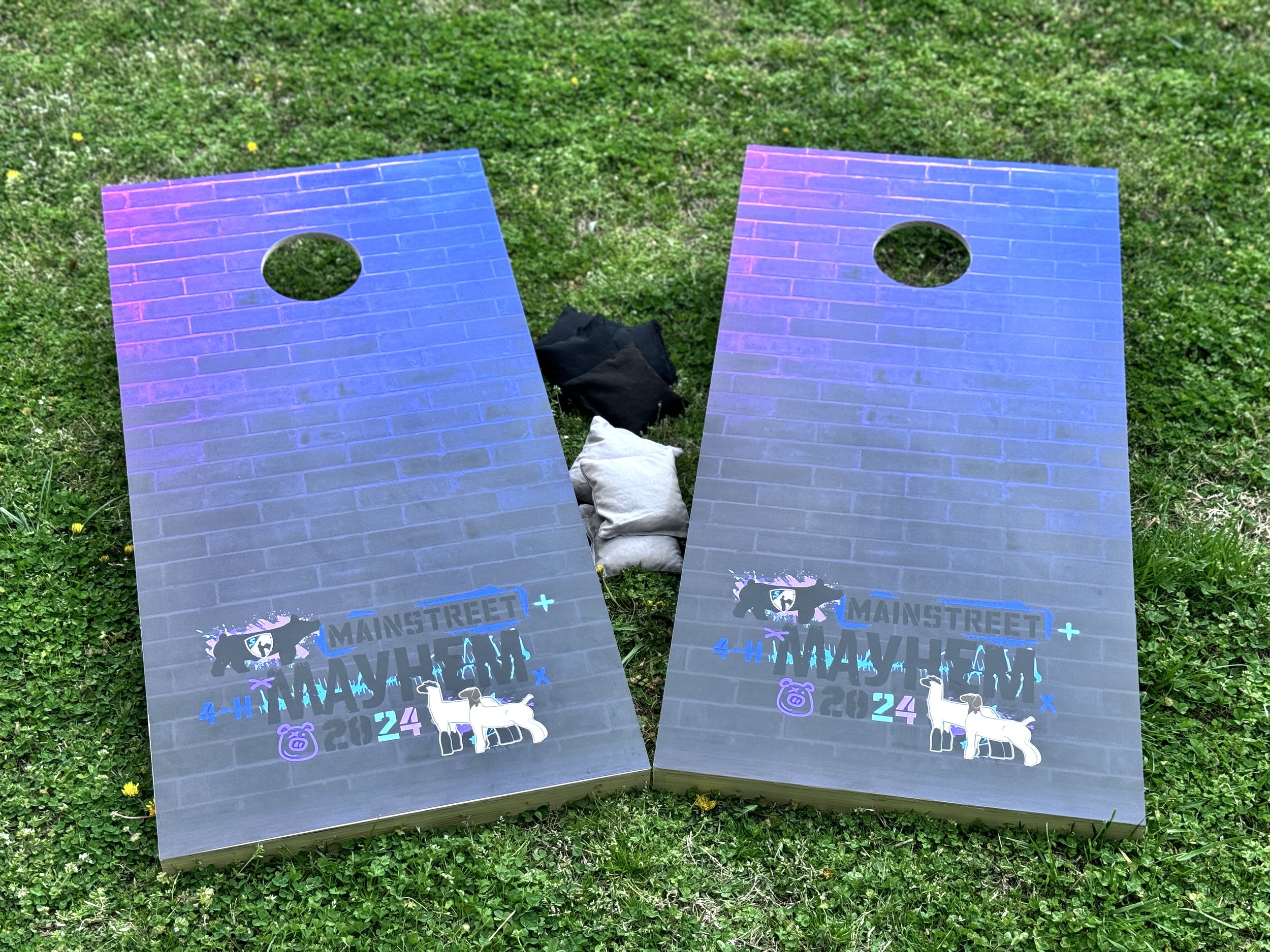Cornhole Sets: $350
*Additional design fee may apply.