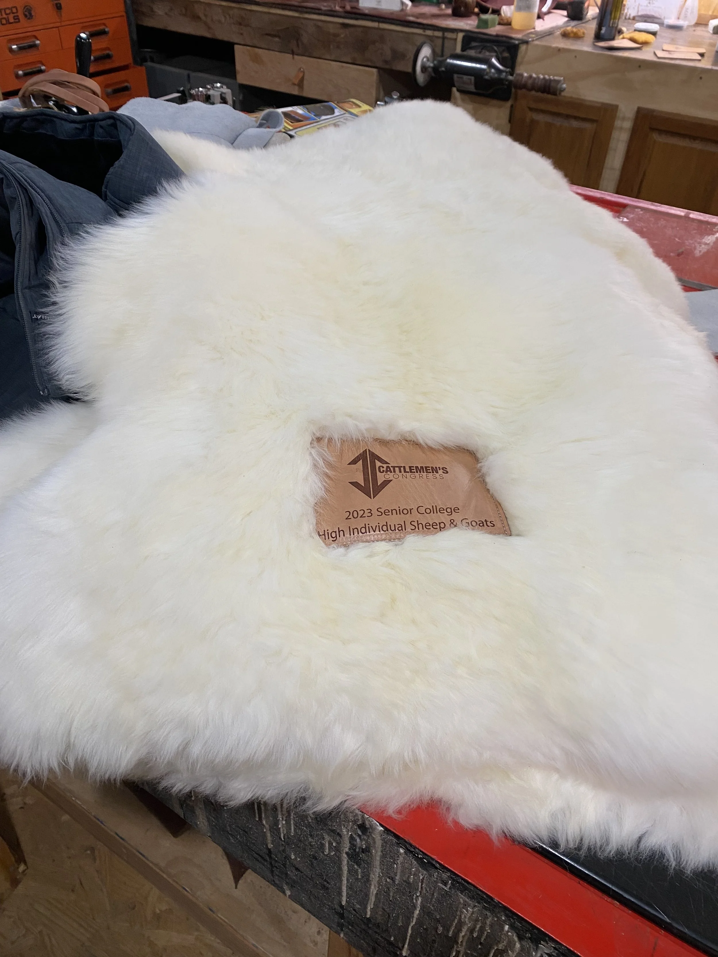 Sheep Pelt: $100