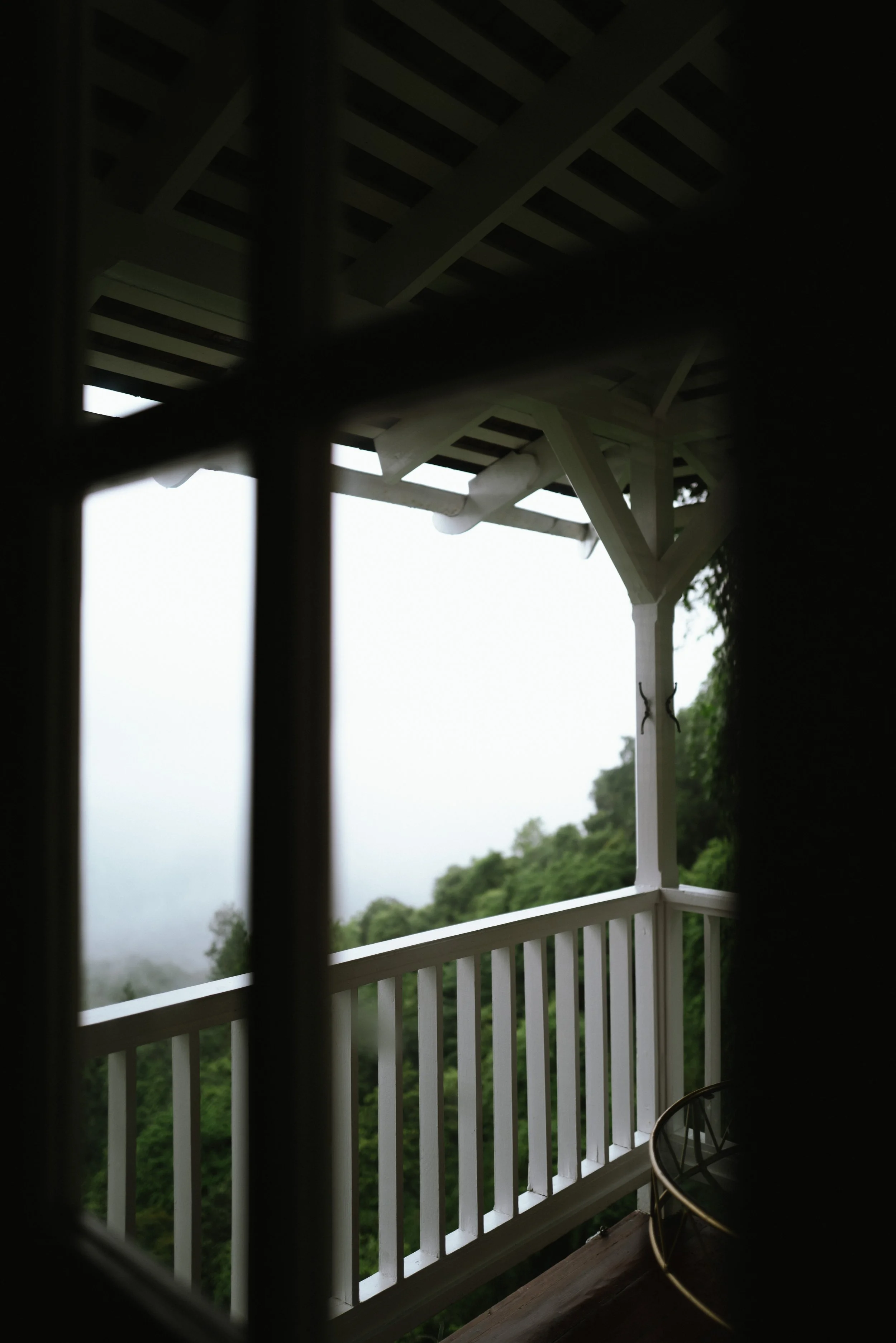 View from a balcony with white railing, overlooking green trees and foggy sky, partially obscured by window frame.