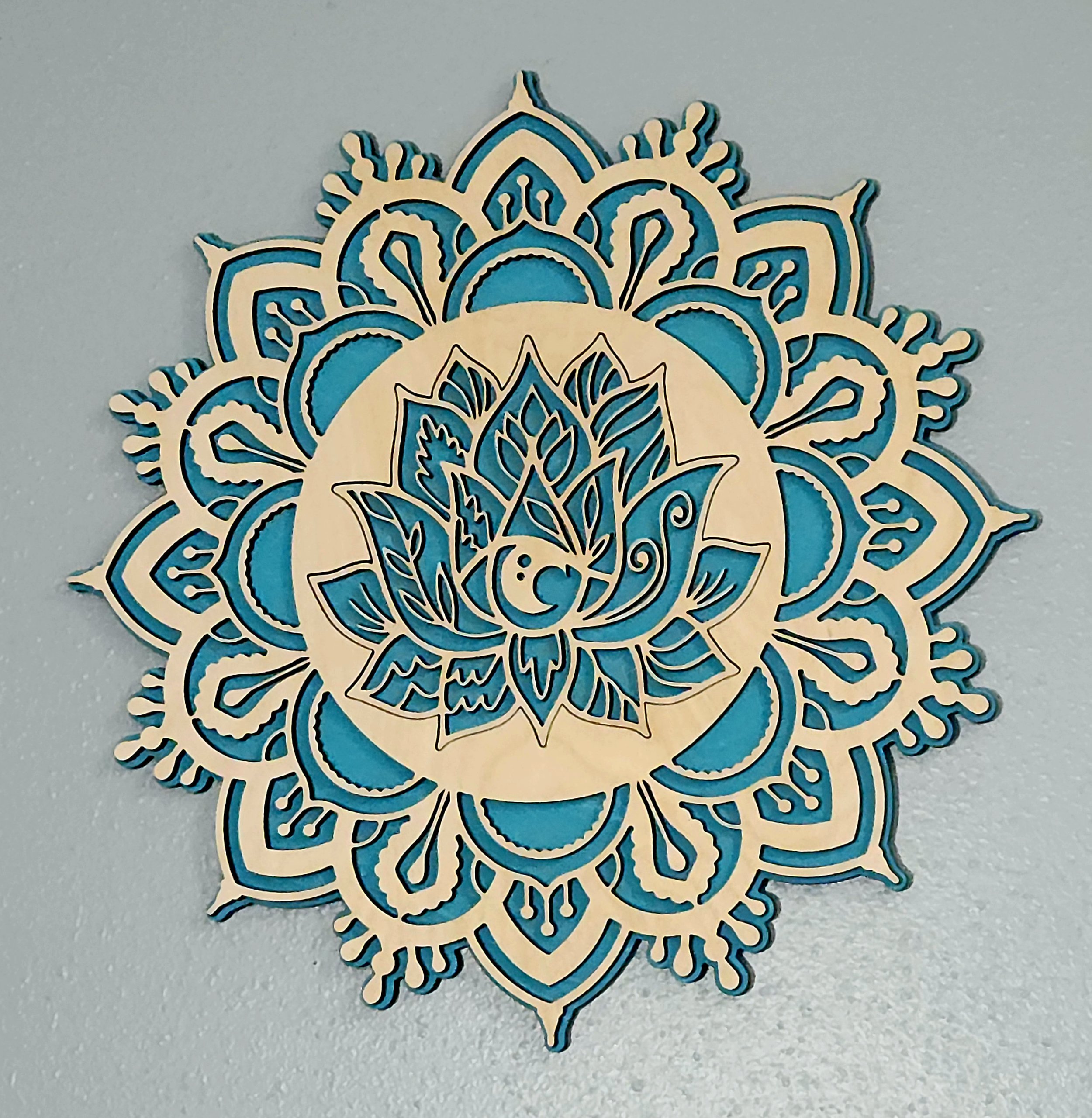 https://i.etsystatic.com/20052053/r/il/a001fe/4554031234/il_fullxfull.4554031234_mfm3.jpg