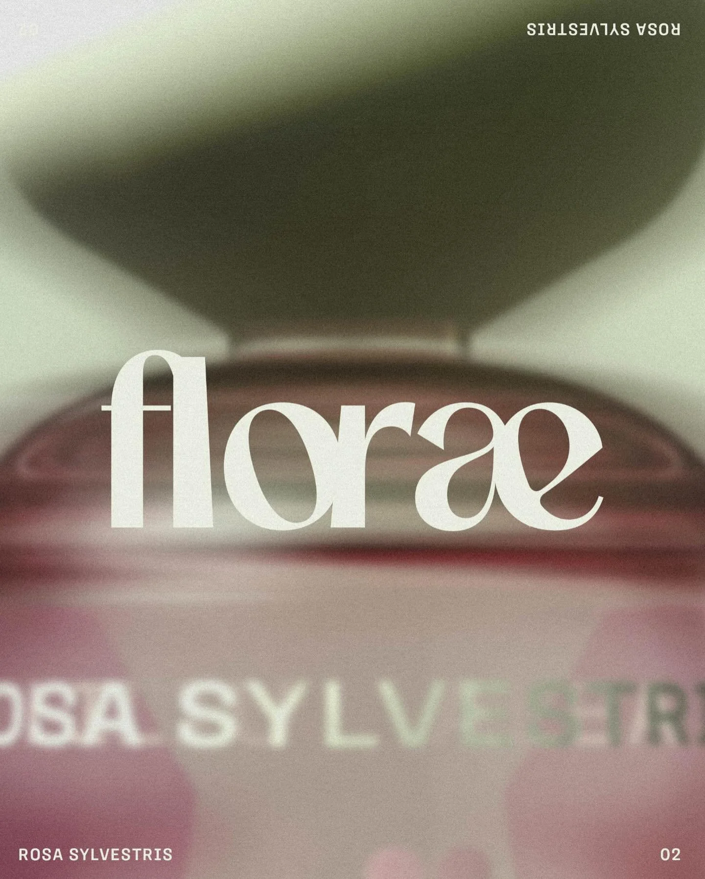 Seasonal botanics matter to Flor&aelig; because real fragrance lives in nature&rsquo;s rhythm. Using plants at their peak means scents that are truer, richer, and full of life &mdash; no shortcuts, just the pure character of each season captured as i