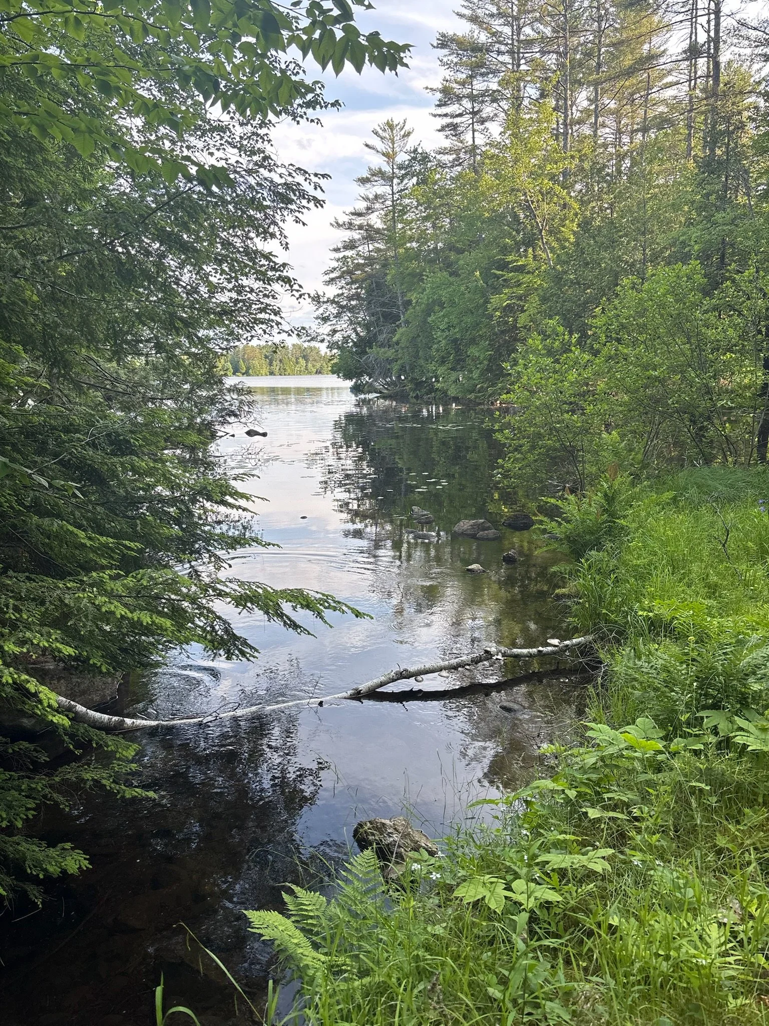 Torsey Lake