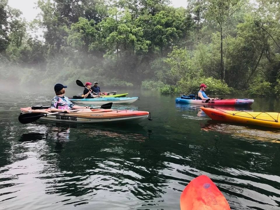 People kayaking under a rusty metal bridge over a river, surrounded by green trees on a sunny day.