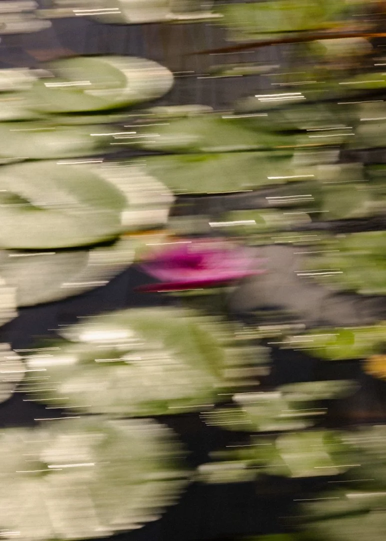 2025-12-06 - Boda Jesús & Bernardo-2.jpg