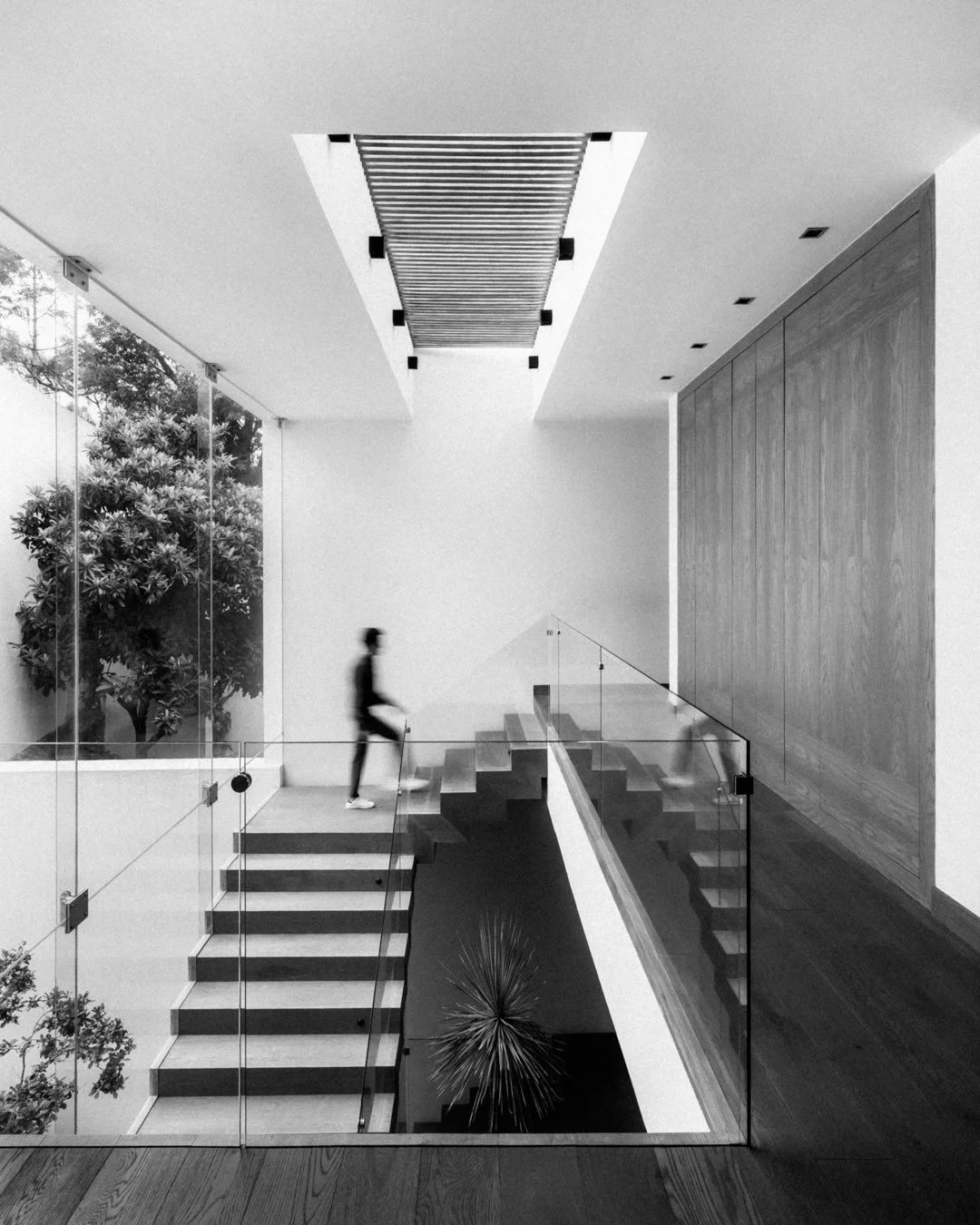  UM Interiorismo - Casa Salvador Novo - 13.jpg