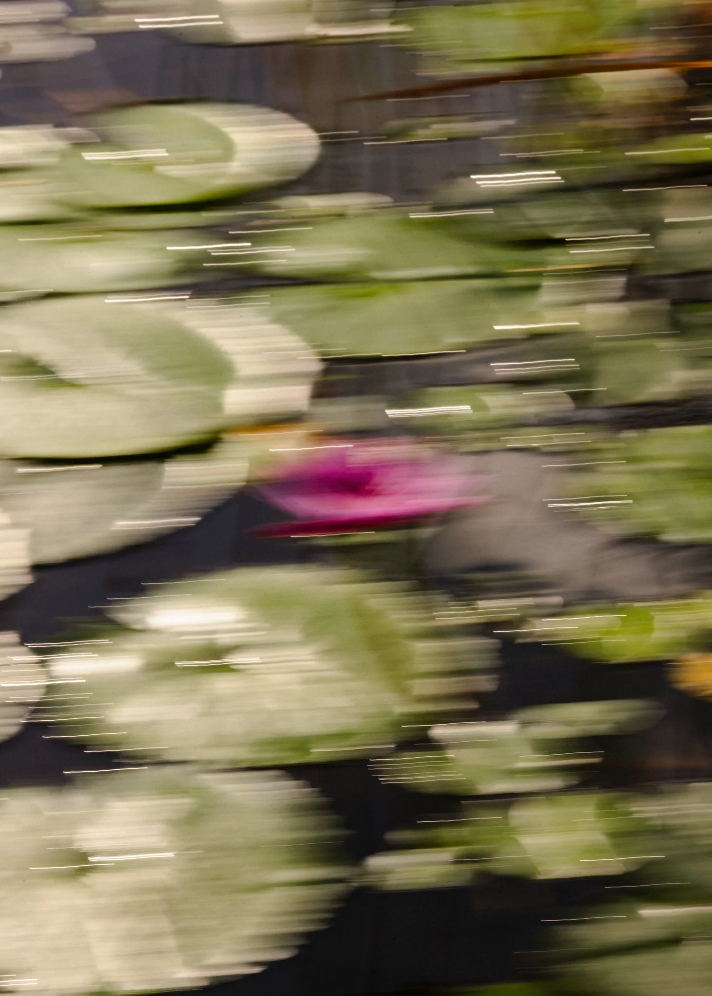 2025-12-06 - Boda Jesús & Bernardo - 006.jpg