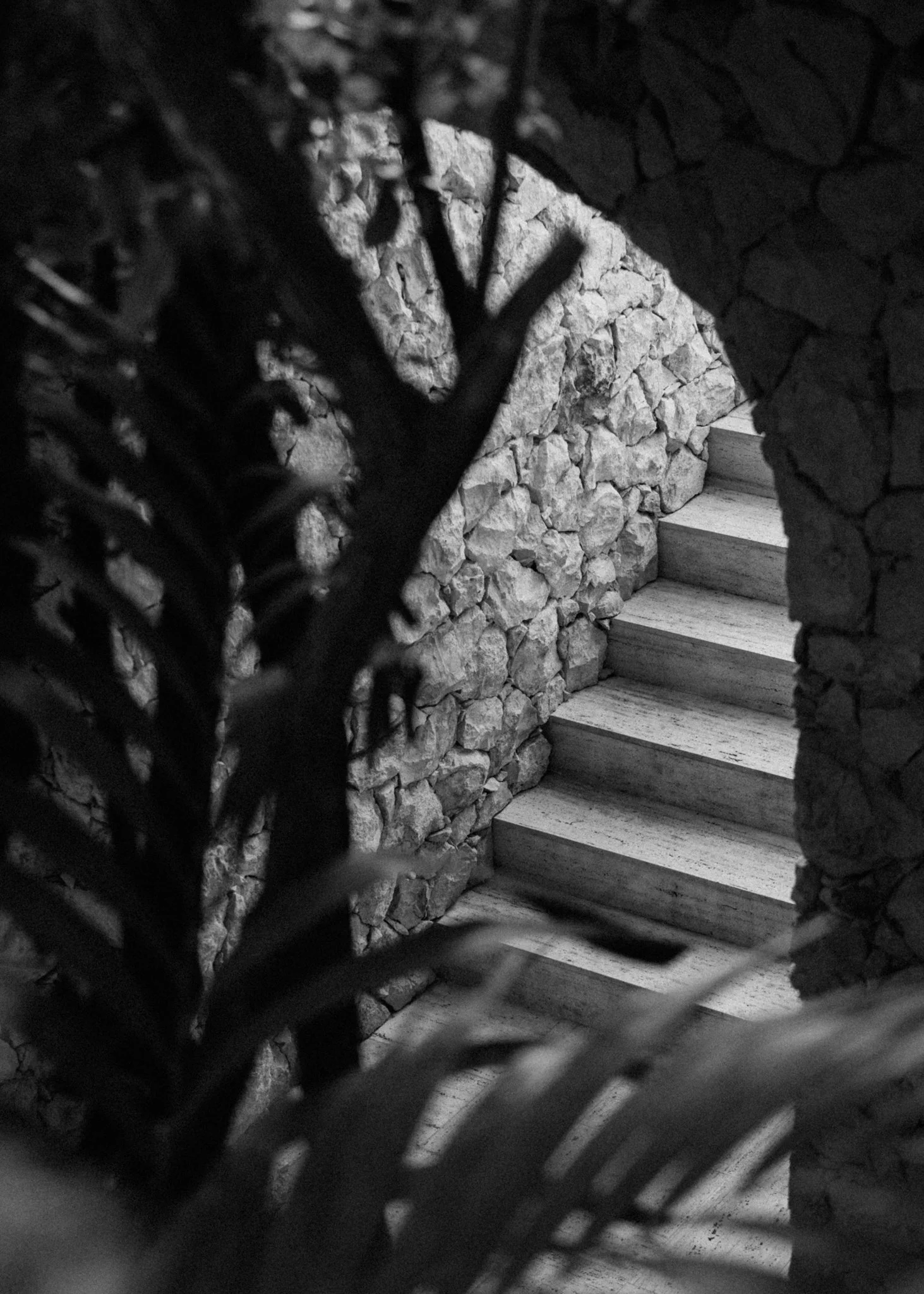 2024-08-26 - Altar Tulum - Casa Copal-19.jpg
