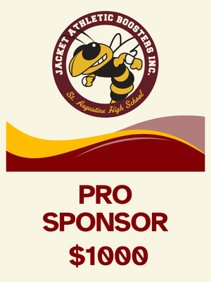 Pro Sponsor (Team Level)