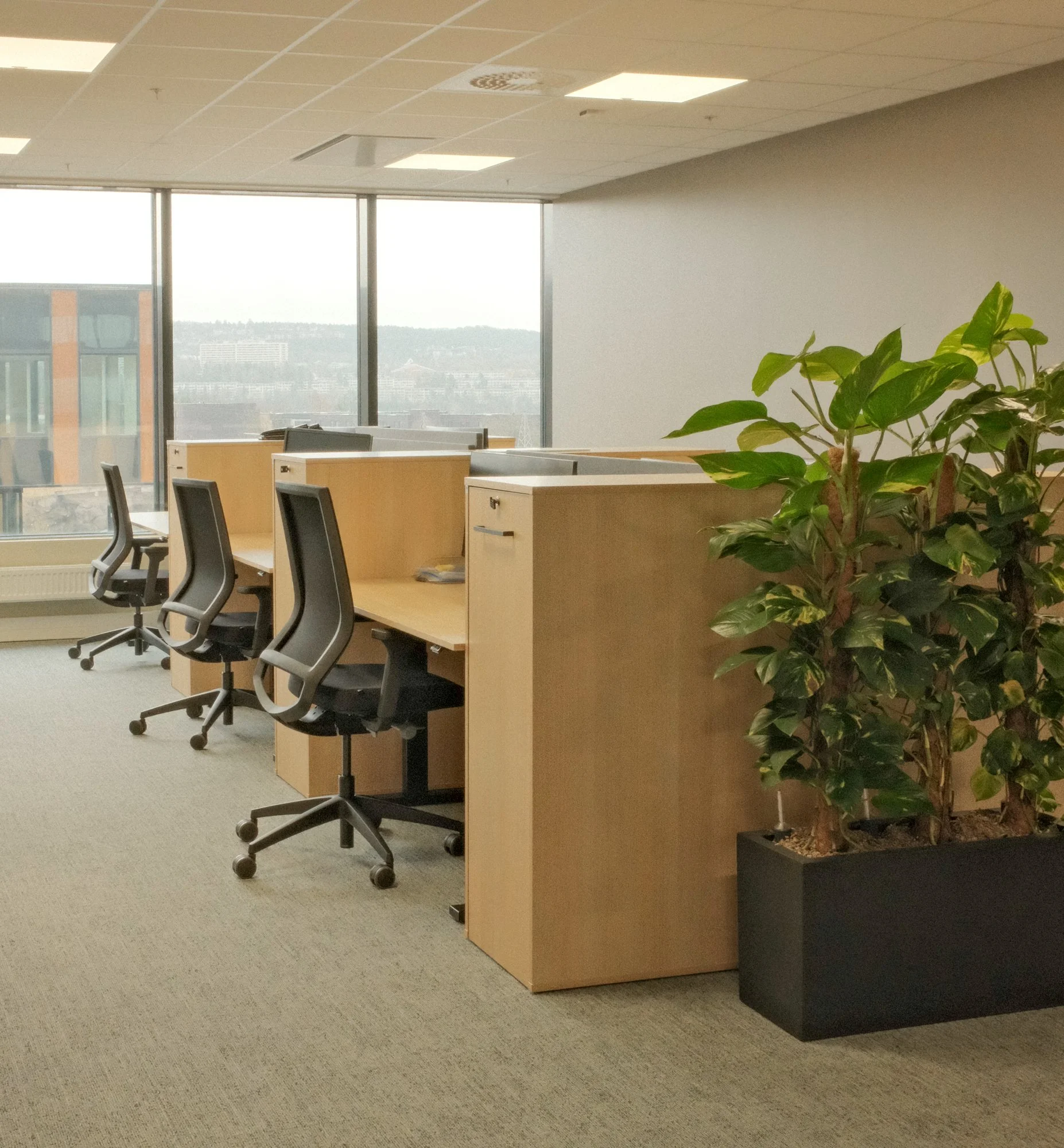 Workshop - Construction City