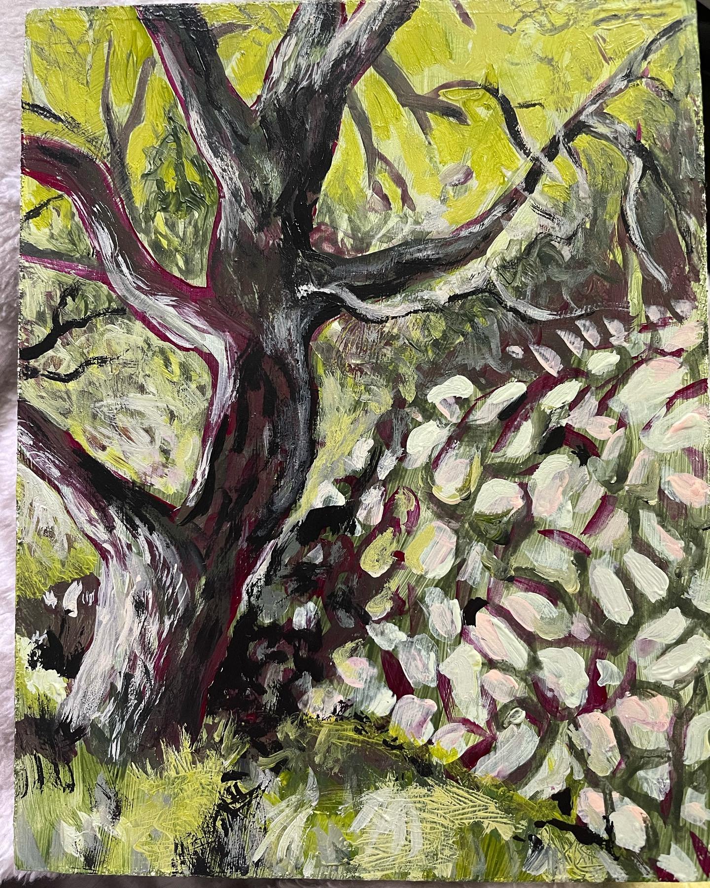 Obstacles can be guides. That&rsquo;s what I see when I see how this oak tree curves against and almost hugs the stone wall. #oaktrees #stone walls panel painting