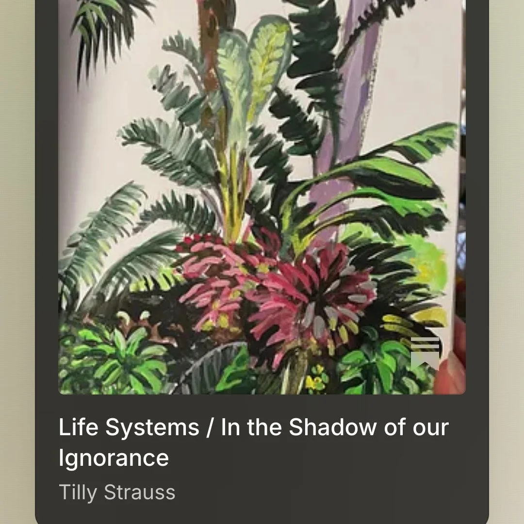 The underlying life systems that a tourist or a blood thirsty war commander might miss... another segment in my illustrated stages of a journey.
Follow me on Substack