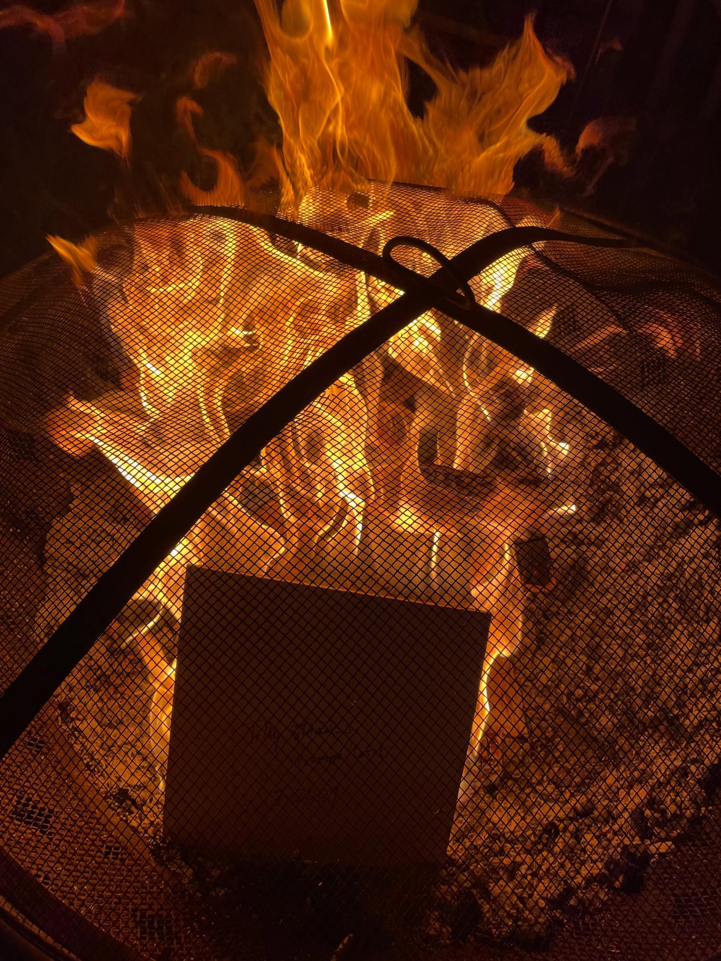 Solstice release! A nice gathering with family to honor the longest day- the furthest tilt of the planet, and to let go of bad habits - burning 🔥 energy to make it happen. We also enjoyed asking questions to a bird oracle deck- a recent gift from @j