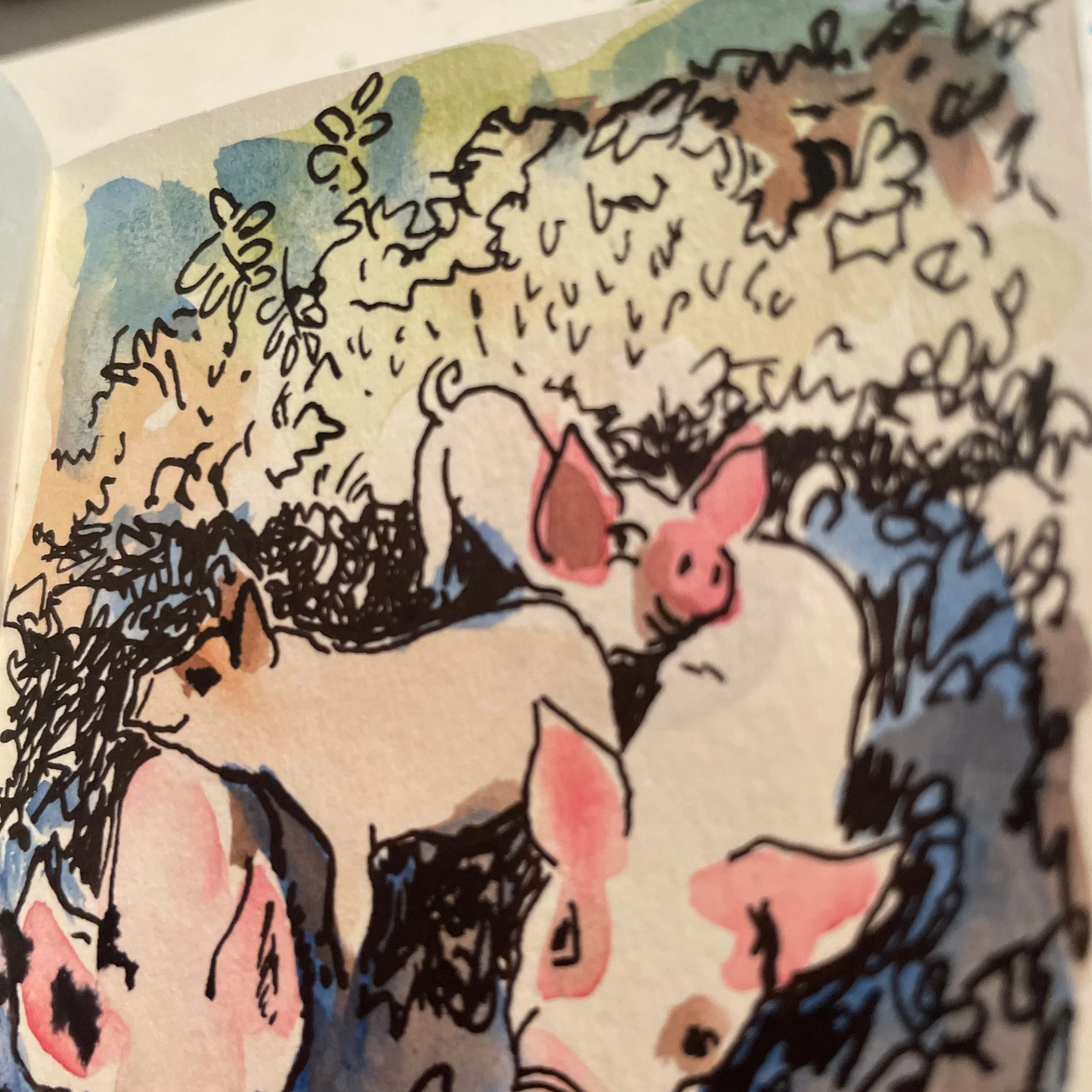 Every morning at sunrise, as I walk the 5 minutes to my writing room, I pass by this little group of curious piglets. They jump up out of their huddled sleeping burrow and greet me at the fence. I am falling in love.
#farmlife #smallsketches #dailytr