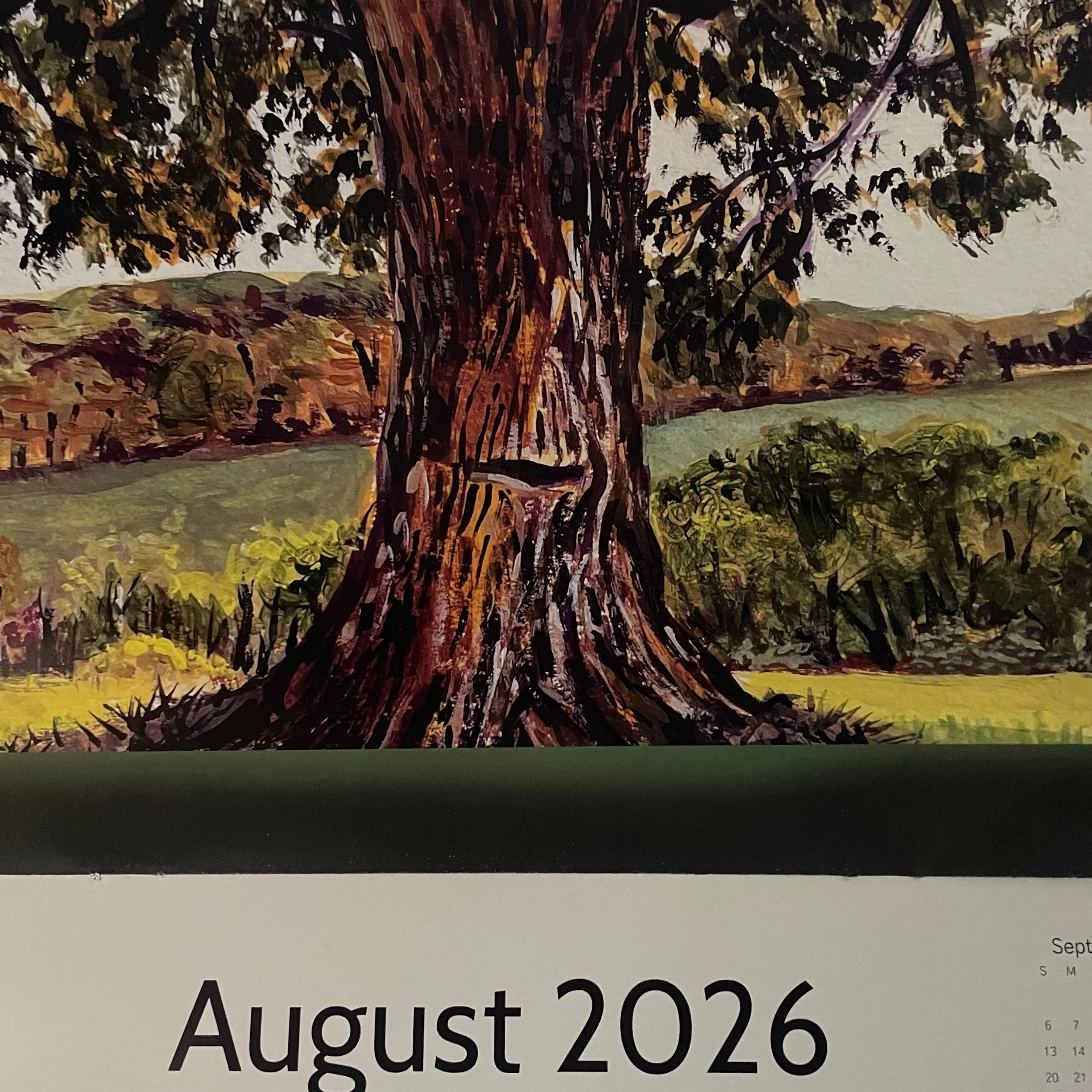 The prince of August. I hate to see July go on the calendar, but am warmed by the August painting of Prince, a 250year old maple with a view. 
The scar on the side- from some car accident or plow intervention- lends an animated personality to this st