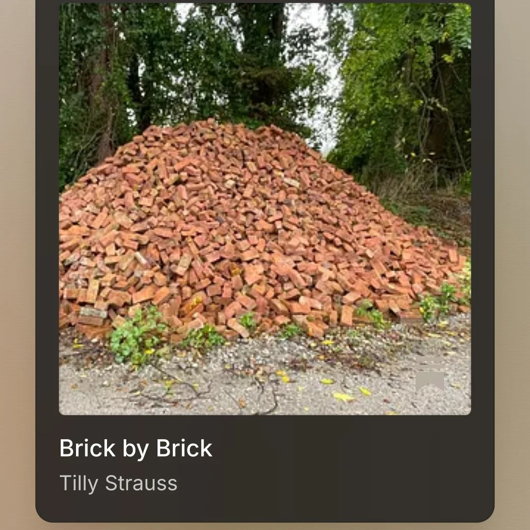 I wrote about building something brick by brick... Outside a renovated theater, I passed a giant glistening pile of bricks. I couldn&rsquo;t look away&hellip; each brick was-or would be-part of a new whole and I was struck by the promise of the scene