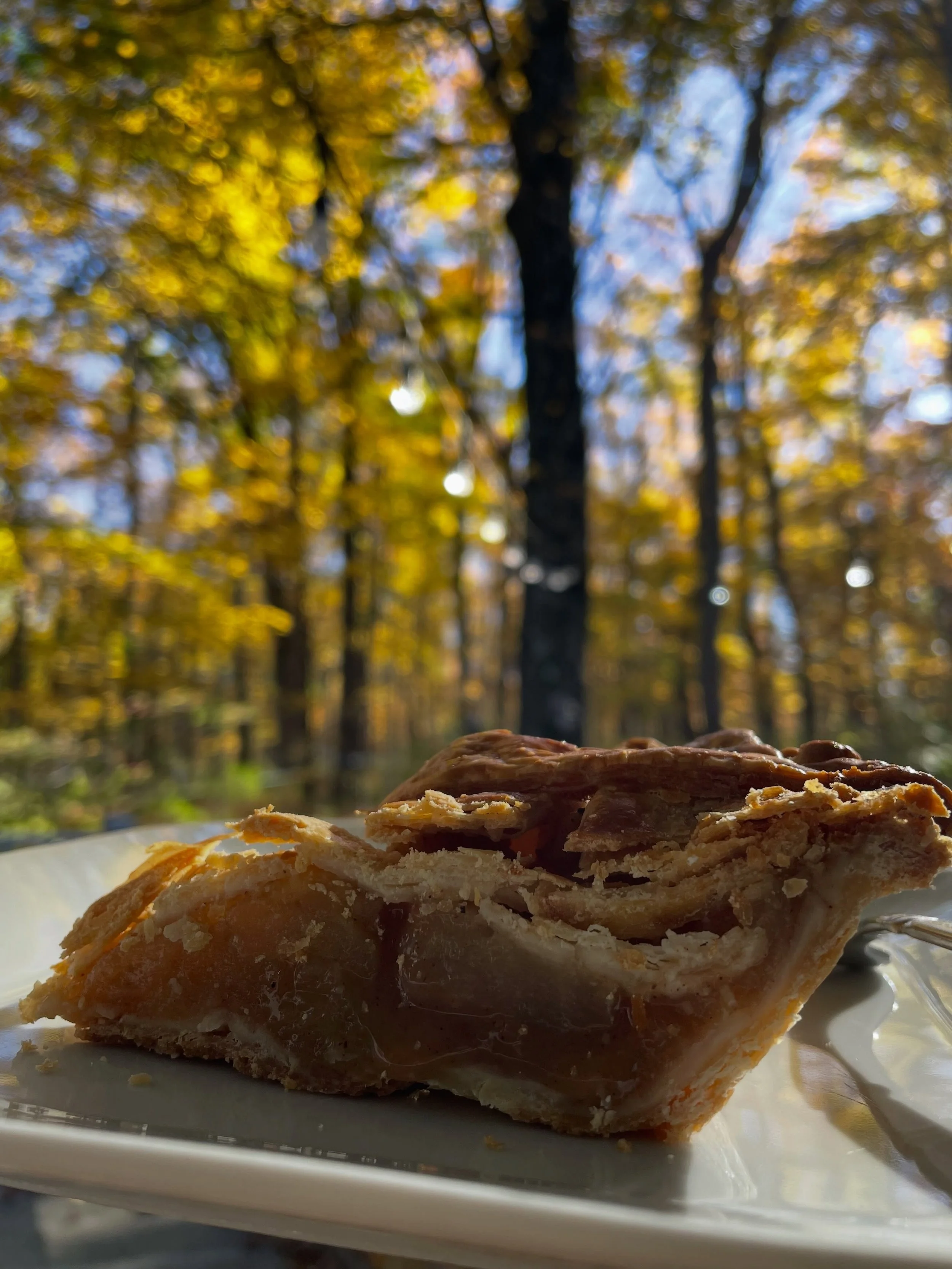 After chores, there&rsquo;s nothing like Michael&rsquo;s homemade fresh-picked apple pie. It&rsquo;s a work of art.
Thank you @gellatly.michael_