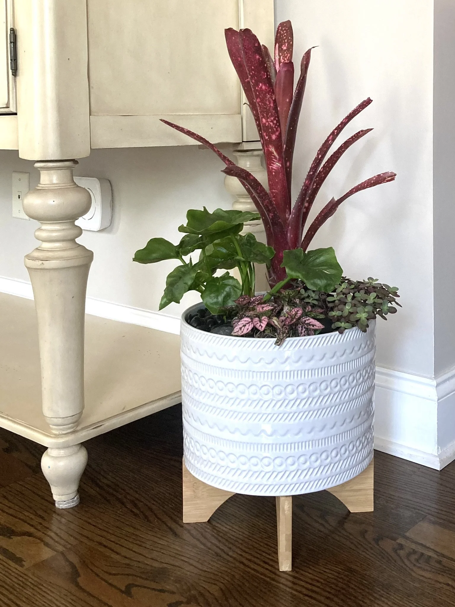 Residential Plantscape