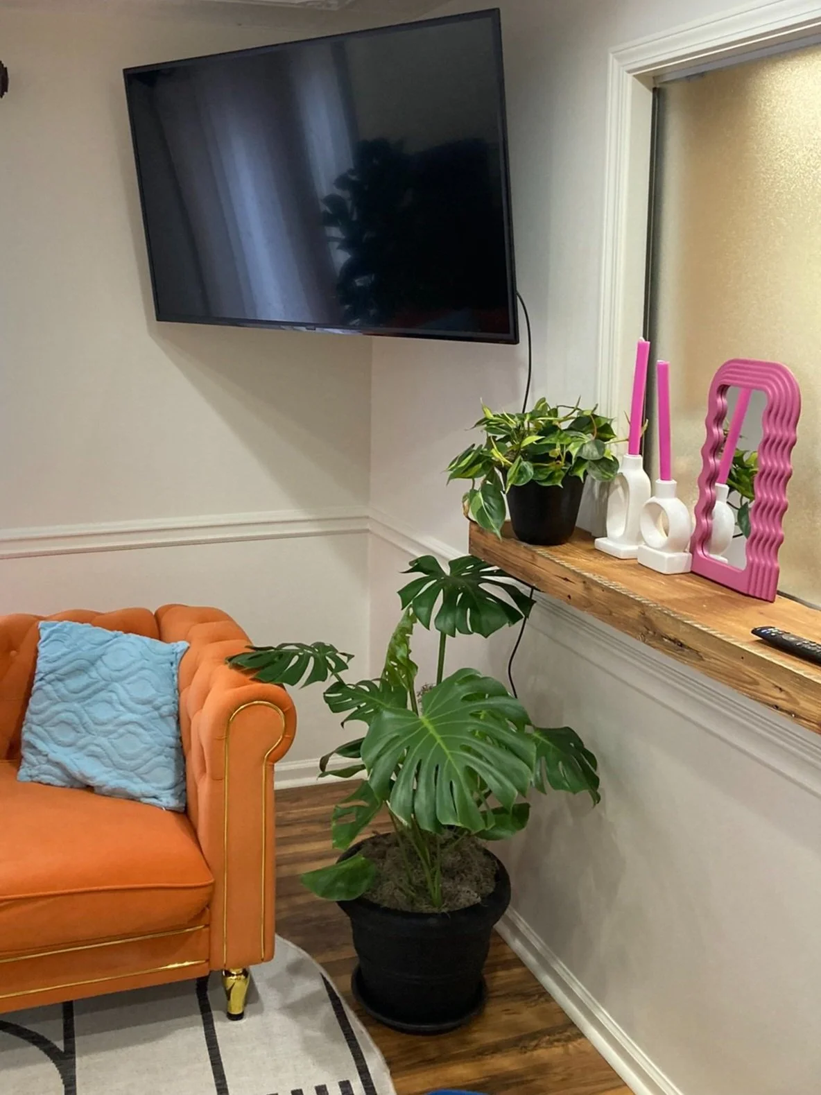 Clemson IV Bar + Aesthetics