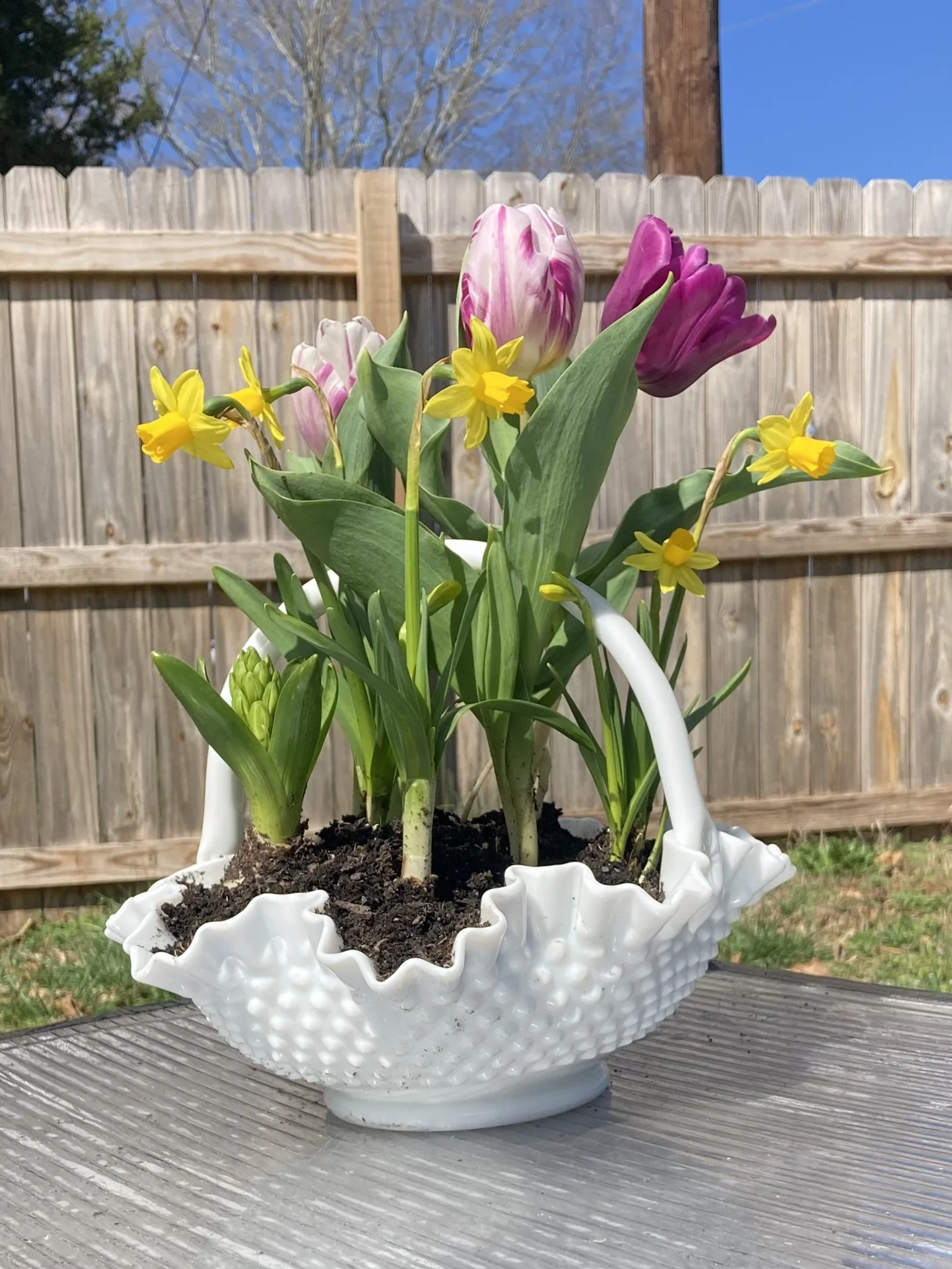 Easter Basket - Custom Plant Arrangement
