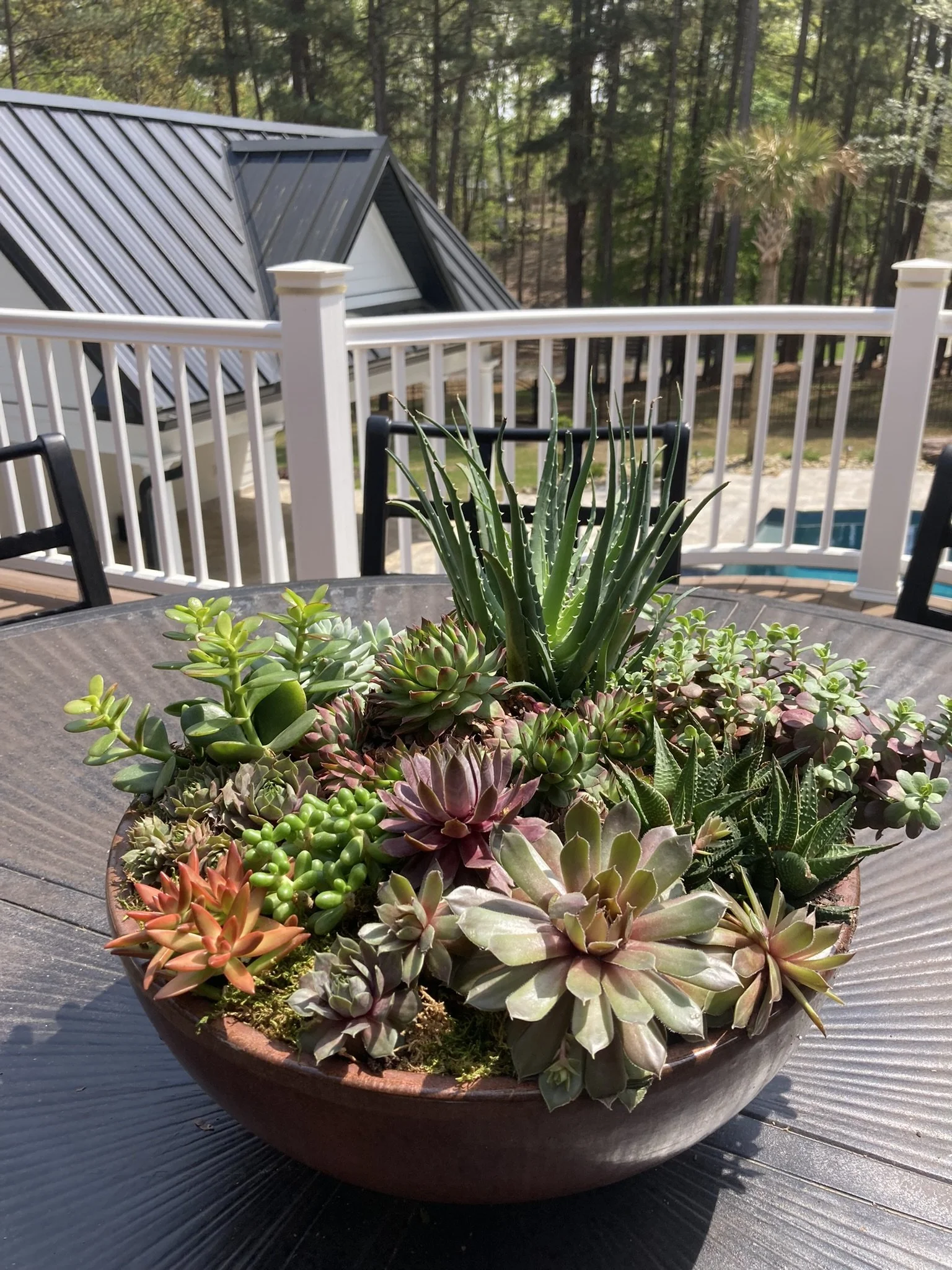 Residential Plantscape