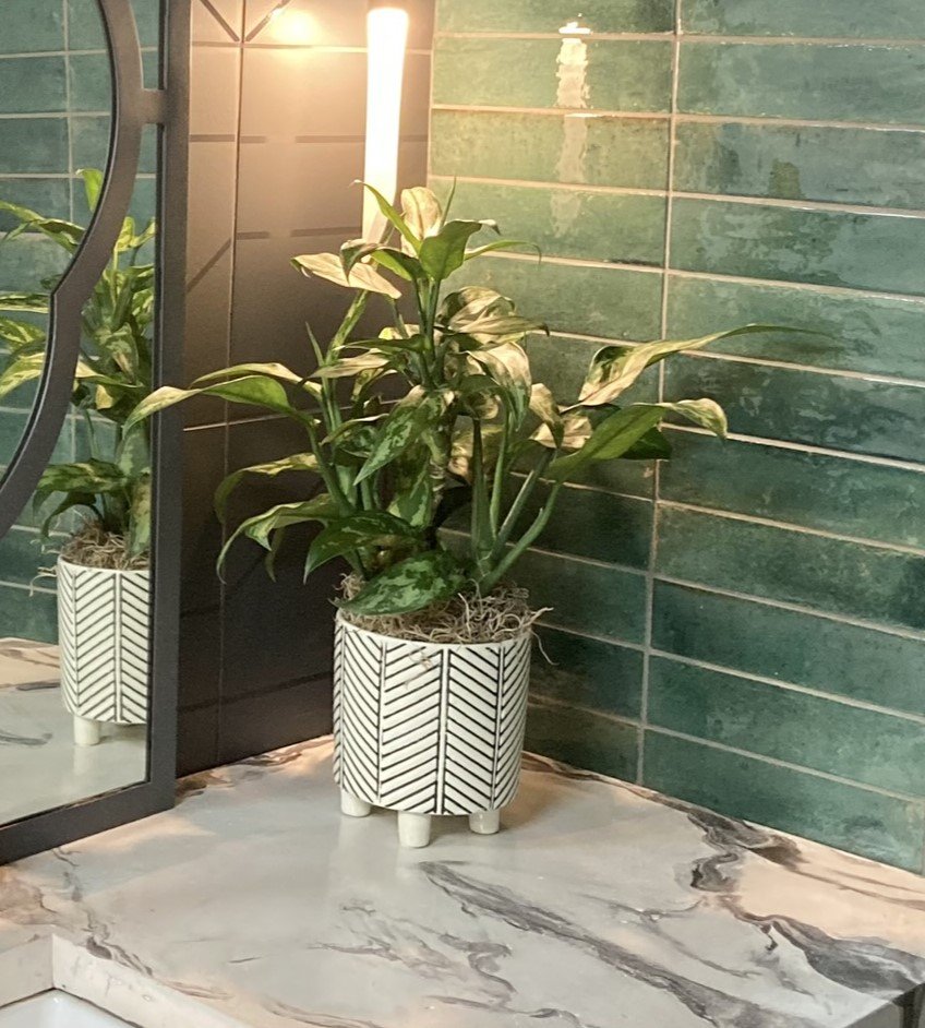 Mac and Morgan Home event