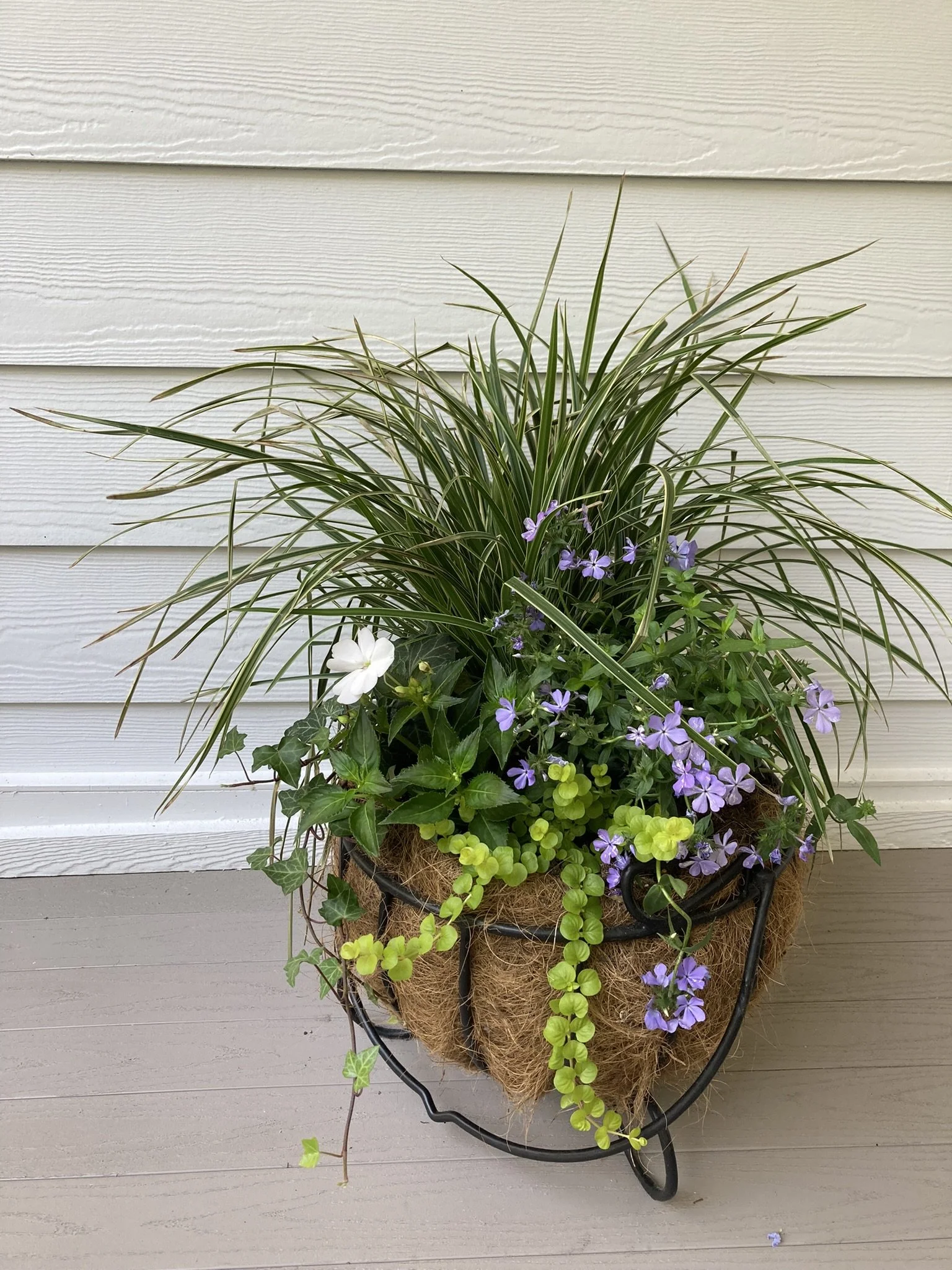 Residential Plantscape