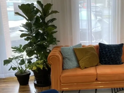 Clemson IV Bar + Aesthetics