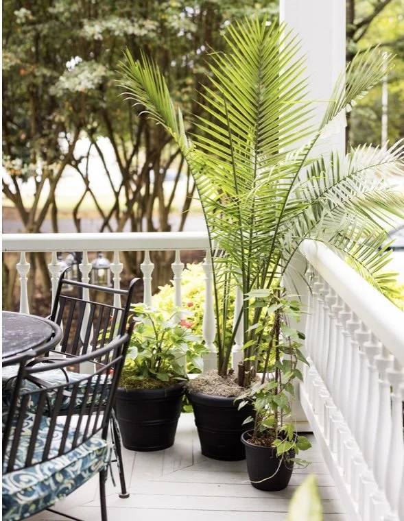 Photo Credit: Kendra Martin Photography