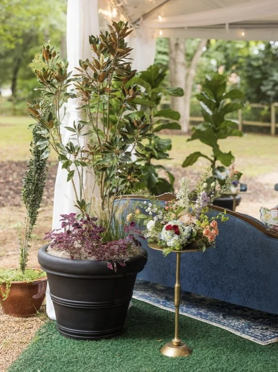 Photo Credit: Kendra Martin Photography