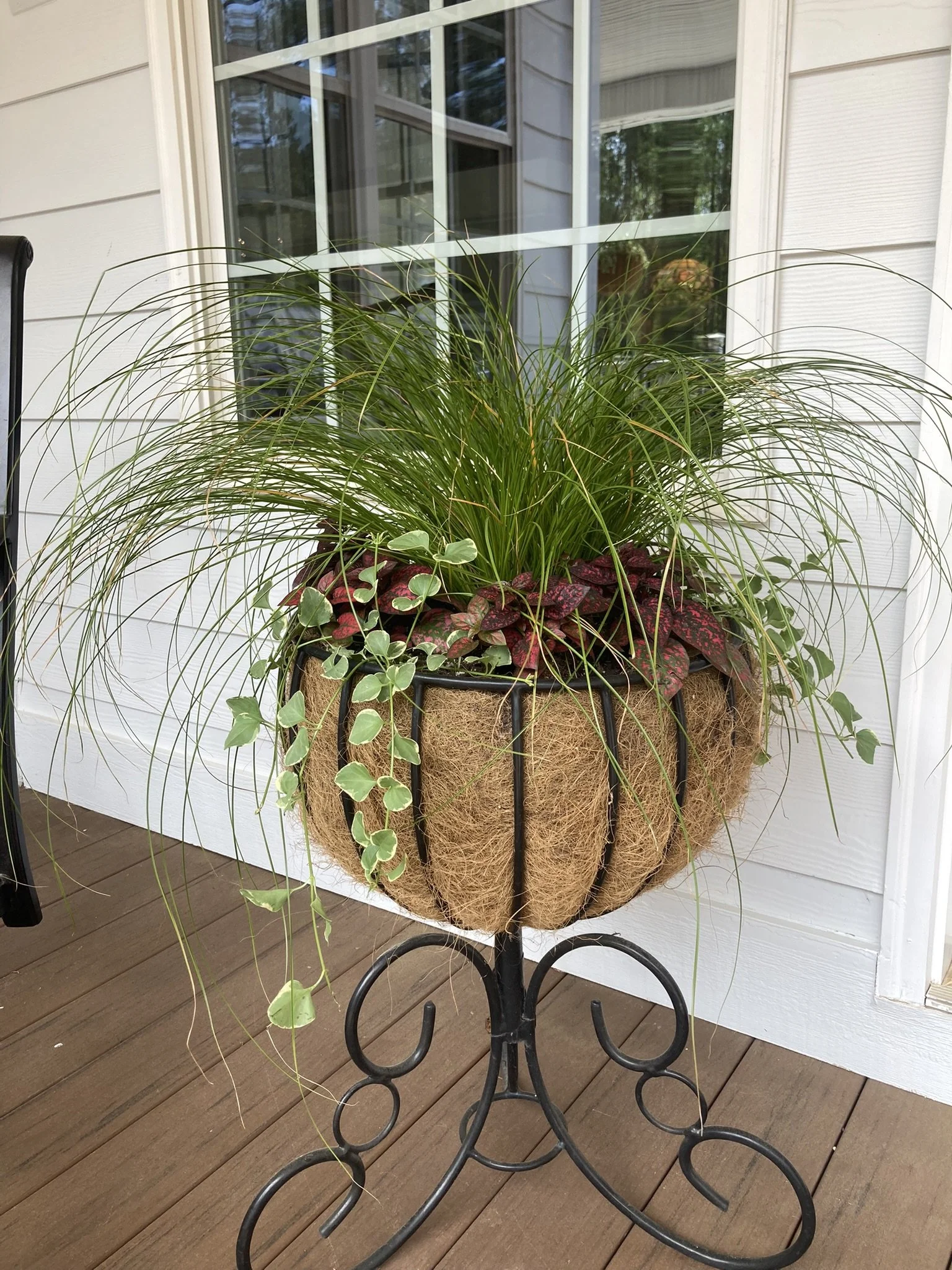 Residential Plantscape