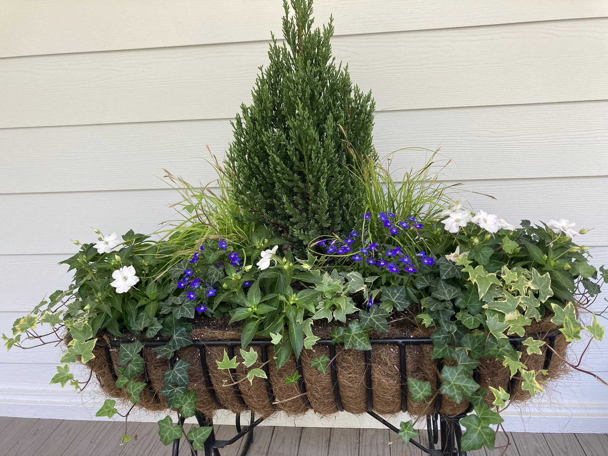 Residential Plantscape