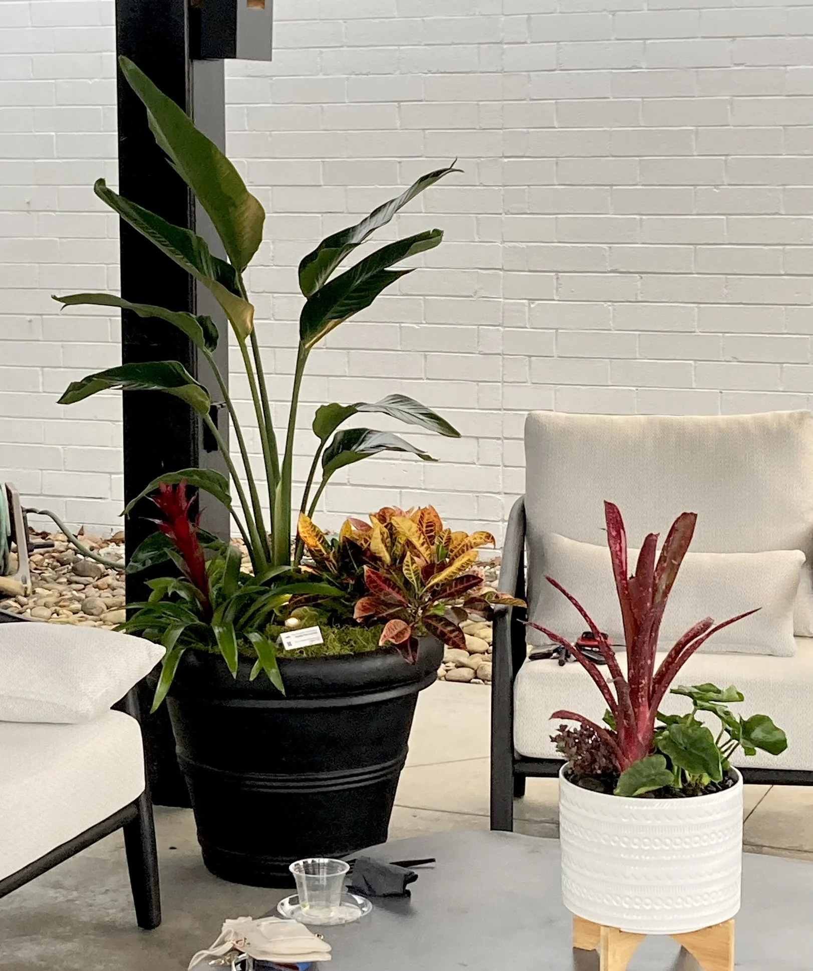 Mac and Morgan Home event