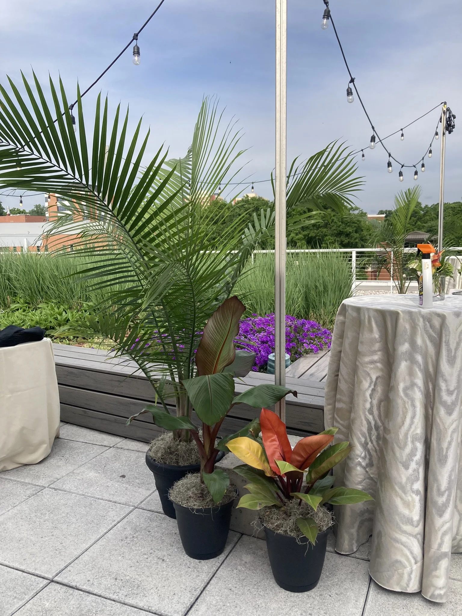 Watt Family Innovation Center Rooftop - Clemson University