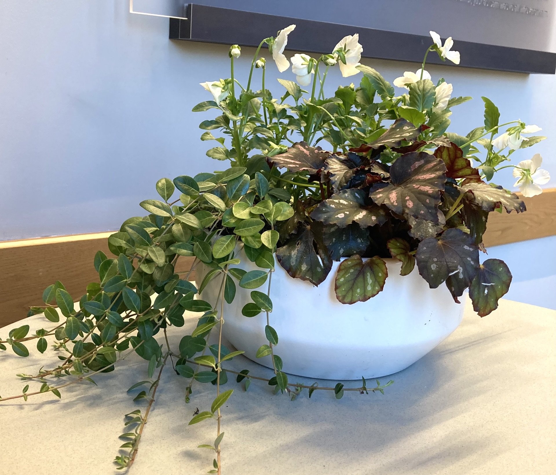 Samuel J. Cadden Chapel - Clemson University