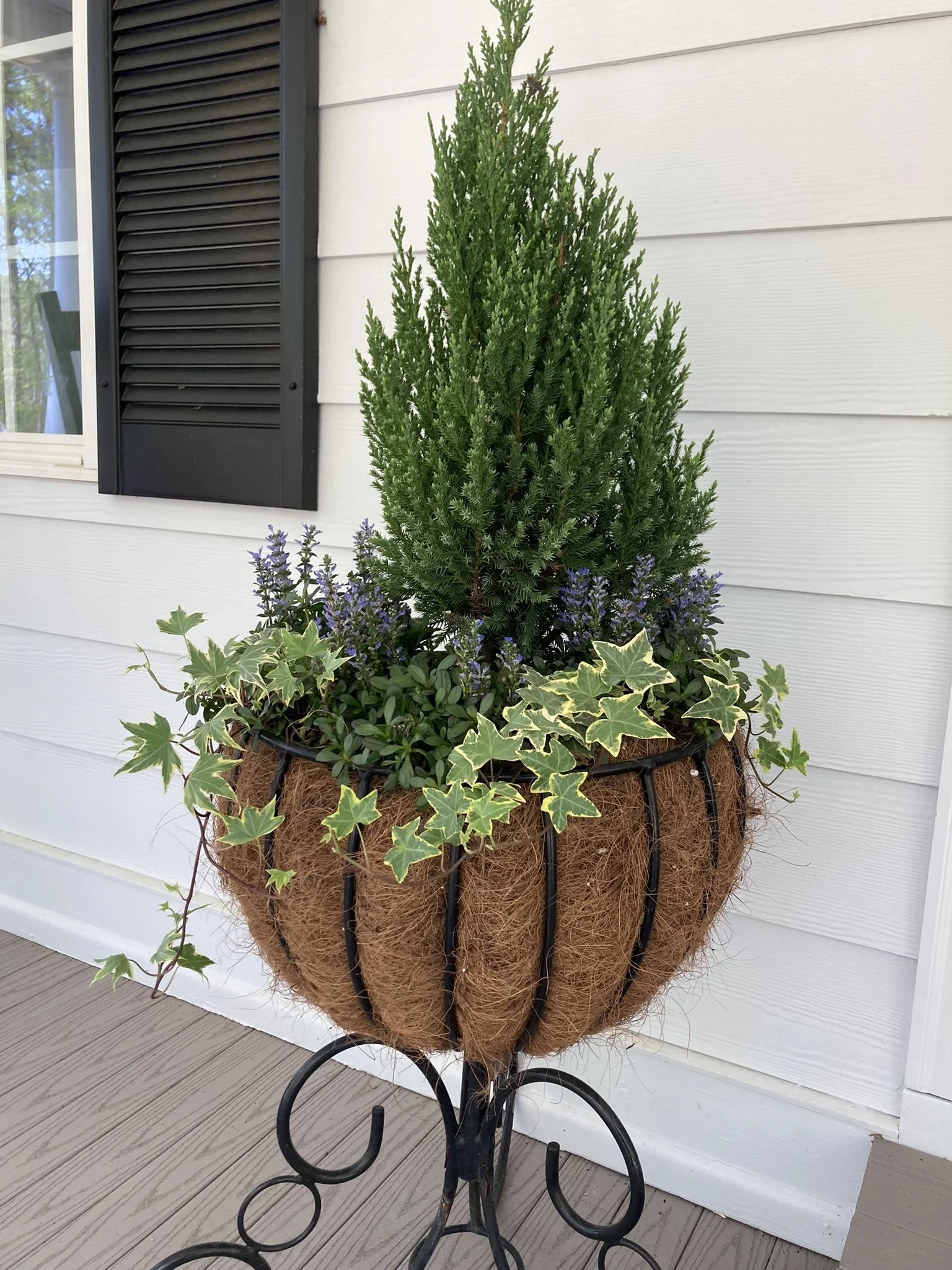 Residential Plantscape